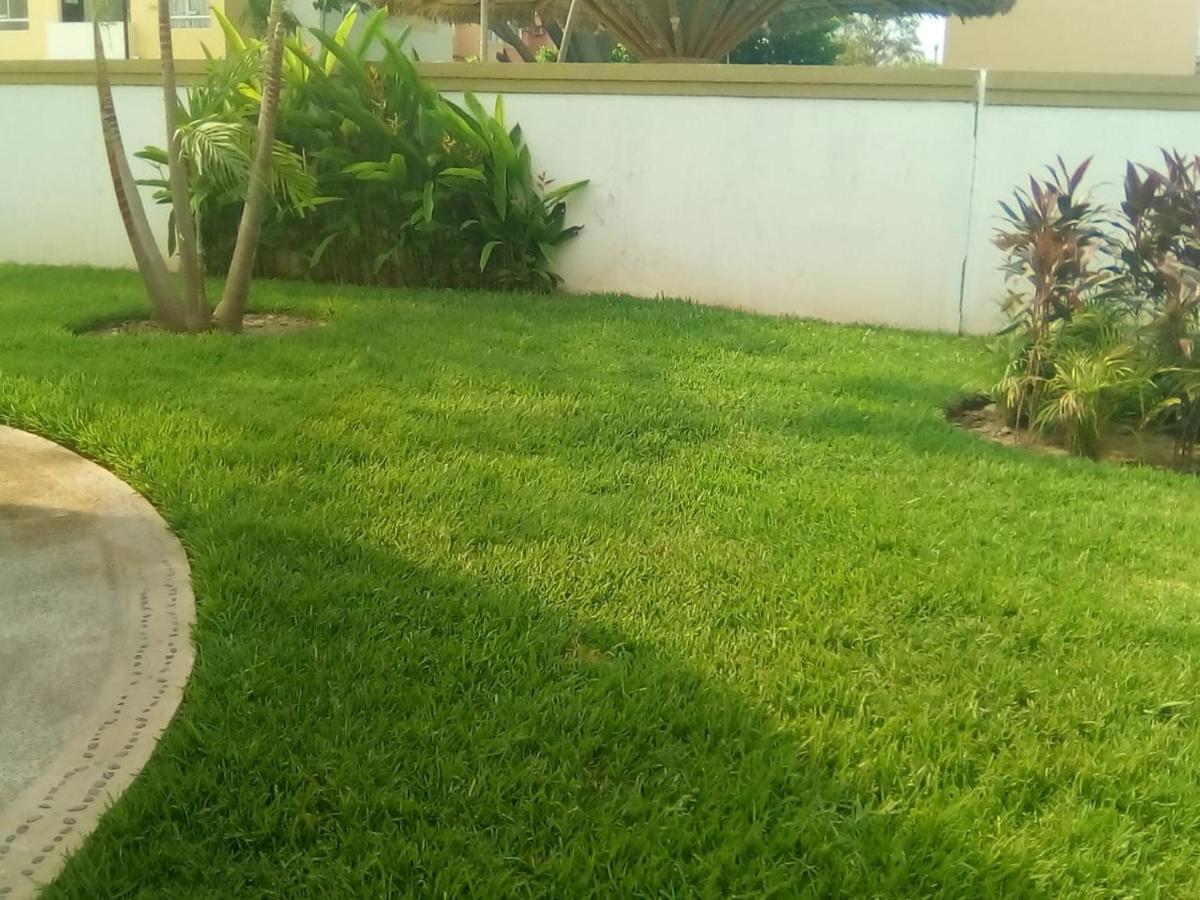 Victor House Leilighet Acapulco Eksteriør bilde